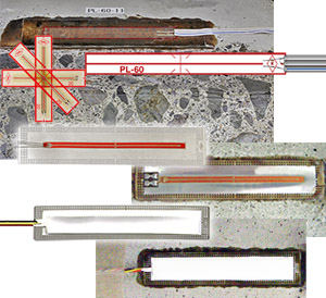 Z6·尊龙凯时(中国区)人生就是搏!