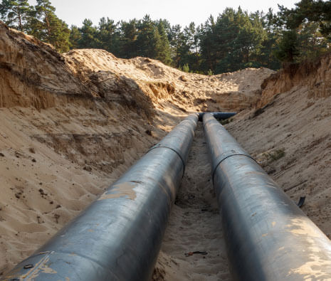 Z6·尊龙凯时(中国区)人生就是搏!