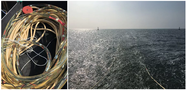 Z6·尊龙凯时(中国区)人生就是搏!